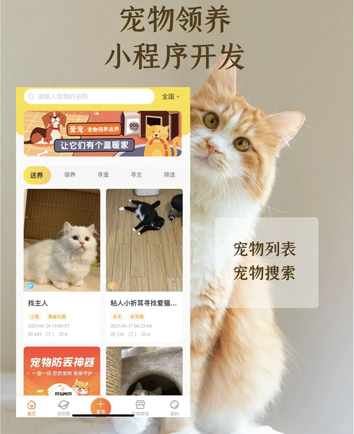 領(lǐng)養(yǎng)寵物小程序開發(fā)制作方案