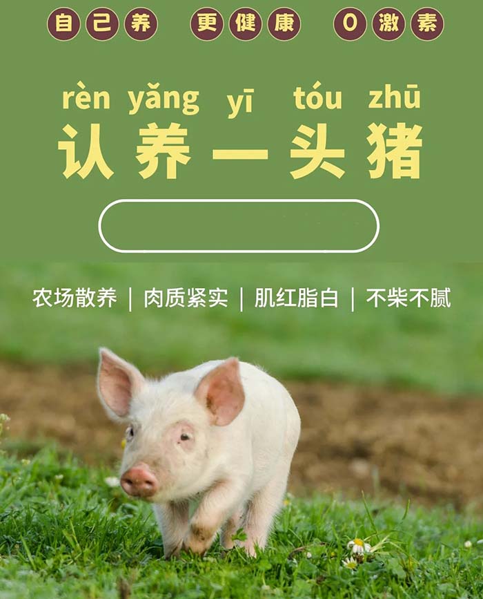 認(rèn)養(yǎng)農(nóng)業(yè)app模式定制開發(fā)